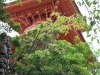 Première vue de la pagode.
