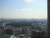 Le poumon de Tokyo.
