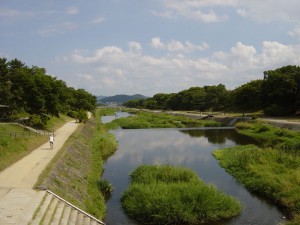 Vue d'ensemble de l'autre côté de la rivière. Le ciel est dégagé.