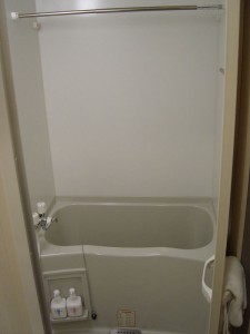 La salle de bain (baignoire + douche).