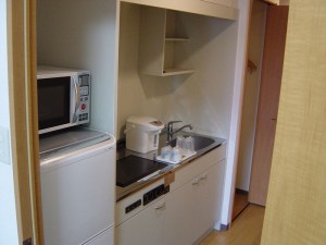La cuisine (micro-ondes, frigo, évier, deux plaques de cuisson, ...)
