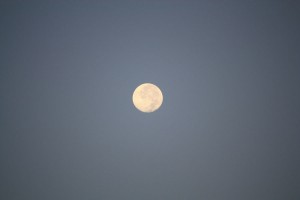 J'adore voir la lune au matin ou lorsqu'elle est presque dorée.